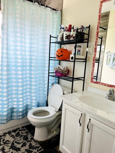 Room In Citrus Park And Carollwood, Close To The Airport & Downtown Tampa Kültér fotó