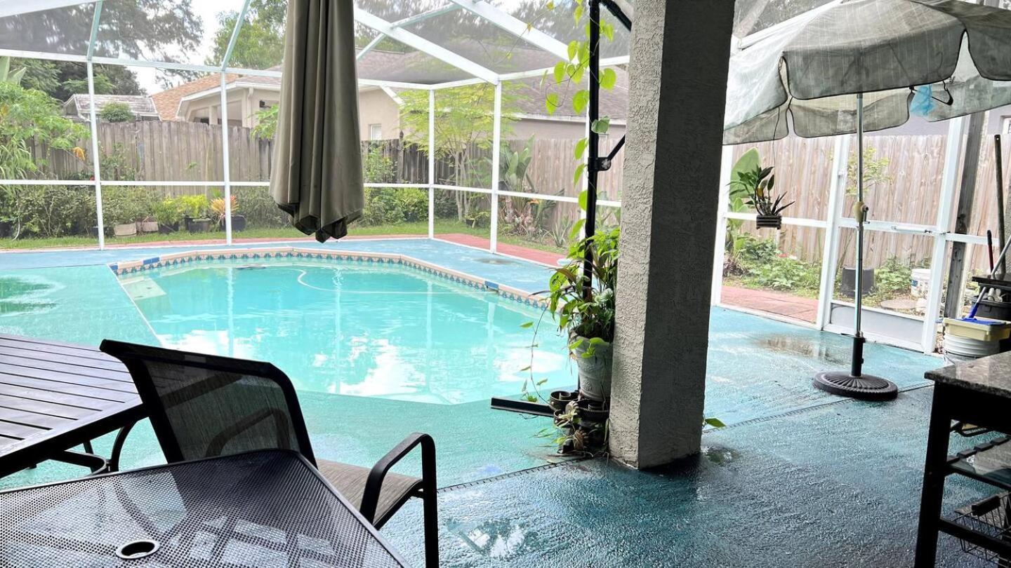Room In Citrus Park And Carollwood, Close To The Airport & Downtown Tampa Kültér fotó
